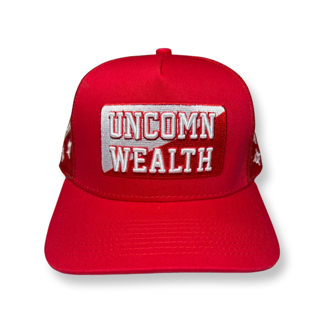 Uncomn Wealth Paisley