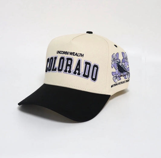Colorado Bird Hat Purple